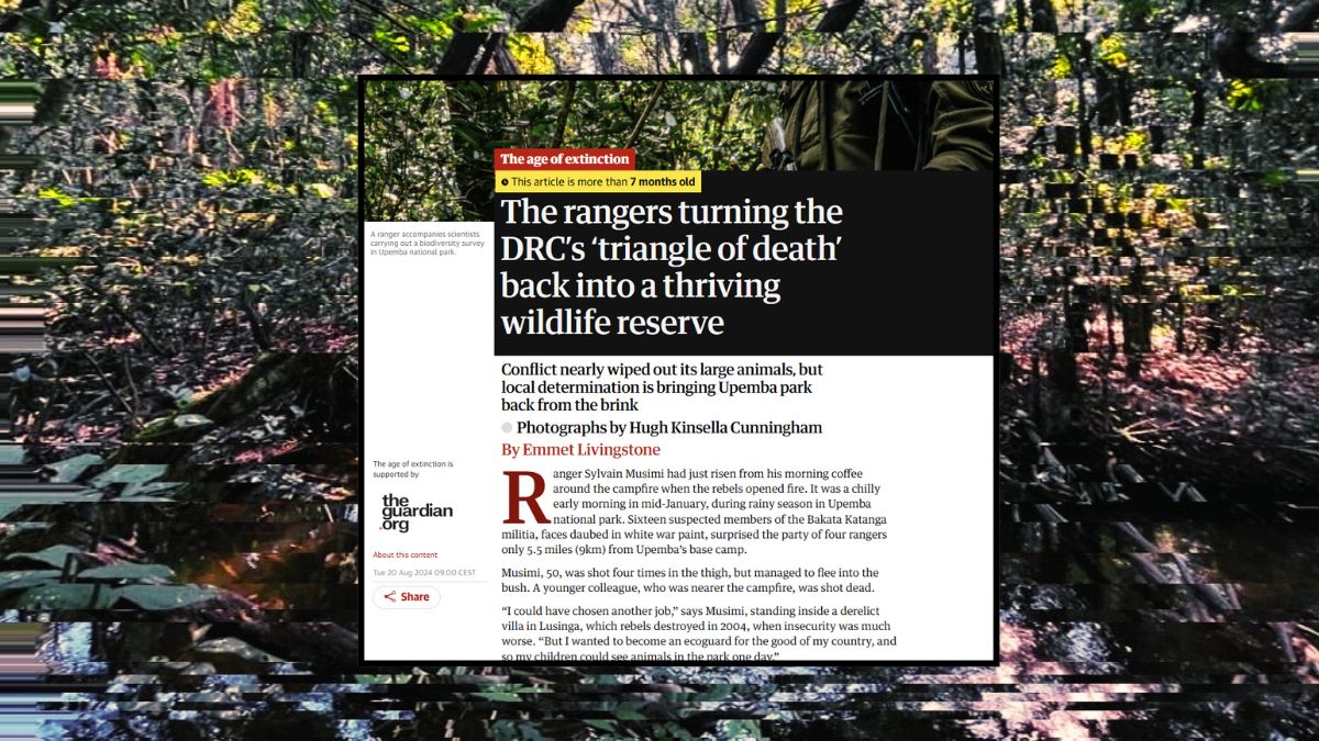 The rangers turning the DRC’s ‘triangle of death’ back into a thriving wildlife reserve